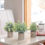 THE BLOOM TIMES Set of 5 Small Fake Plants Plastic Rustic Faux Potted Greenery Eucalyptus Boxwood Artificial Plants in Pots for Home Office Desk Farmhouse Bathroom Kitchen Shelf Indoor Decor