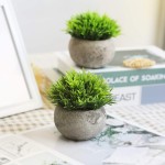 THE BLOOM TIMES Set of 5 Small Fake Plants Plastic Rustic Faux Potted Greenery Eucalyptus Boxwood Artificial Plants in Pots for Home Office Desk Farmhouse Bathroom Kitchen Shelf Indoor Decor