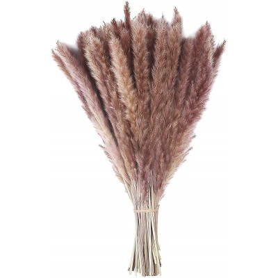 TOPHOOD 35 Pcs 17" Inches Natural Dried Pampas Grass Plants for Flowers Arrangement Carefully Boxed Pampas Grass Decor Tall Fluffy Stems Boho Decor Pompous Grass Decor Pompass Grass Branches