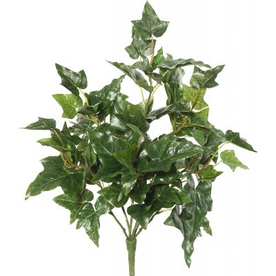 Vickerman Everyday 20" Indoor Artificial Green English Ivy Bush Faux Indoor Bush Greenery For Home Or Office Decor Maintenance Free