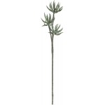 Vickerman Everyday 24 Artificial Green Aloe Spray Faux Succulent Decor Home Or Office Indoor Arrangement Accent Maintenance Free 3 Pack