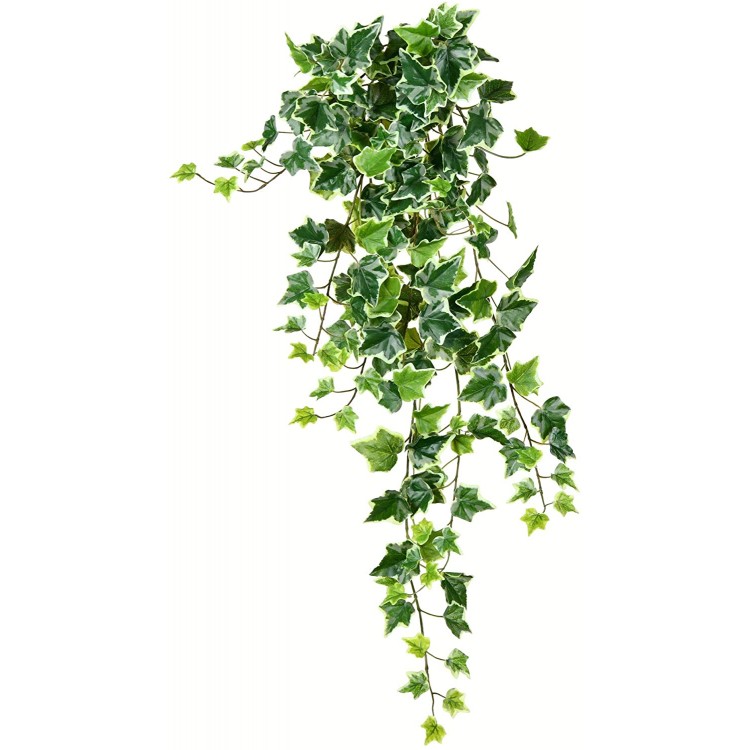 Vickerman Everyday 34 Artificial Varigated Ivy Hanging Bush Faux Indoor Hanging Plant Bush Greenery For Home Or Office Decor Maintenance Free
