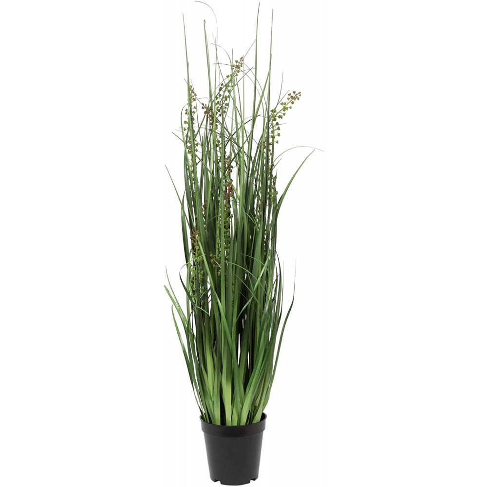 Vickerman Everyday 36 Artificial Green Sheep's Grass With Black Plastic Pot Faux Grass Plant Decor Home Or Office Indoor Greenery Accent Maintenance Free