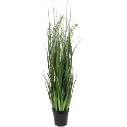 Vickerman Everyday 36" Artificial Green Sheep's Grass With Black Plastic Pot Faux Grass Plant Decor Home Or Office Indoor Greenery Accent Maintenance Free
