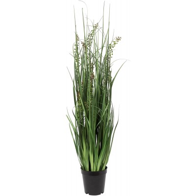 Vickerman Everyday 36" Artificial Green Sheep's Grass With Black Plastic Pot Faux Grass Plant Decor Home Or Office Indoor Greenery Accent Maintenance Free