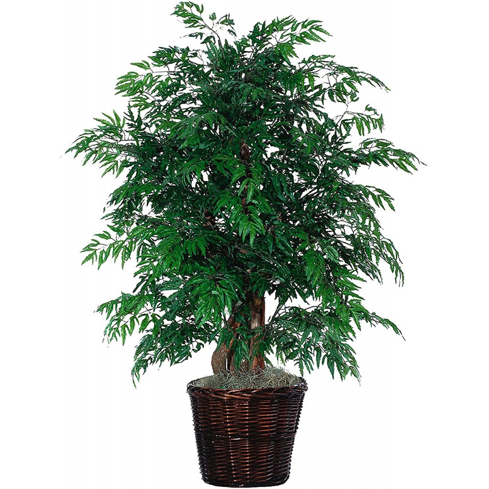 Vickerman Everyday 4' Artificial Ming Aralia Extra Full Bush In A Rattan Basket Realistic Indoor Greenery Decor Faux Potted Decoration For Home Or Office Accent