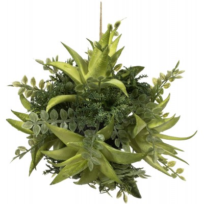 Vickerman Everyday 5" Artificial Mixed Variety Green Succulent Ball Faux Floral Decor Home Or Office Arrangement Accent Maintenance Free