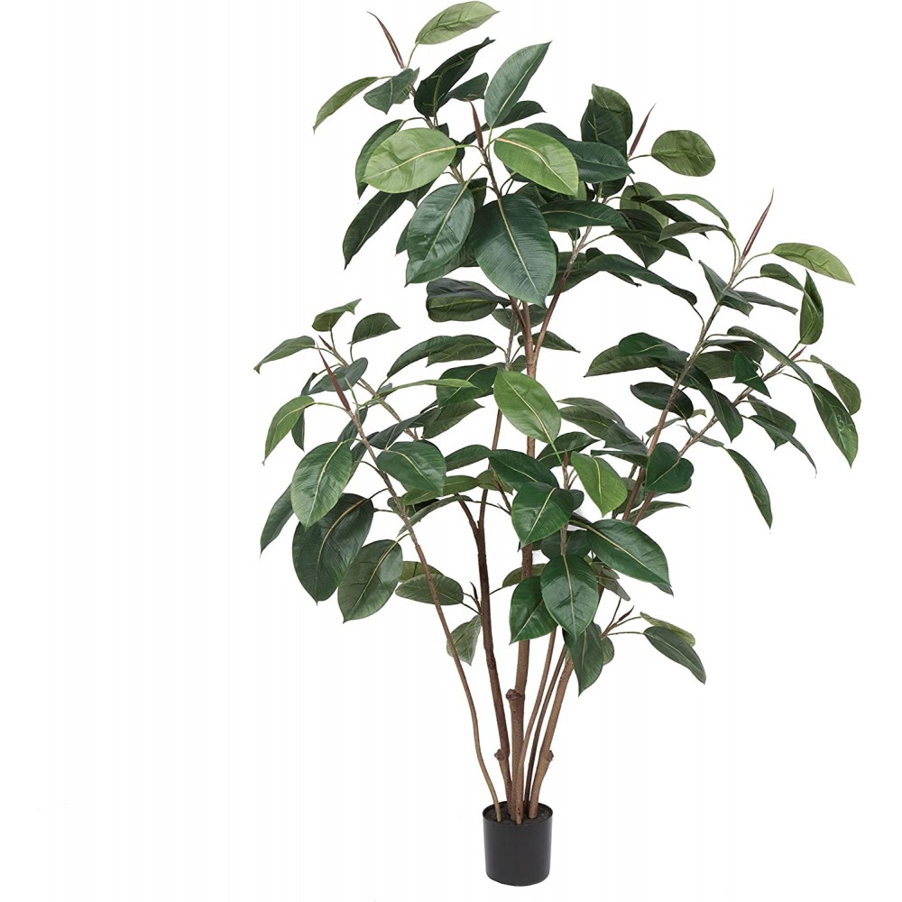 Vickerman Everyday 5' Potted Artificial Green Rubber Tree. Black Plastic Pot Lifelife Home Or Office Decor Faux Potted Tree Maintenance Free