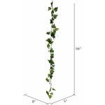 Vickerman Everyday 56 Artificial Green Ivy Garland Faux Floral Decor Home Or Office Greenery Accent Maintenance Free 2 Pack