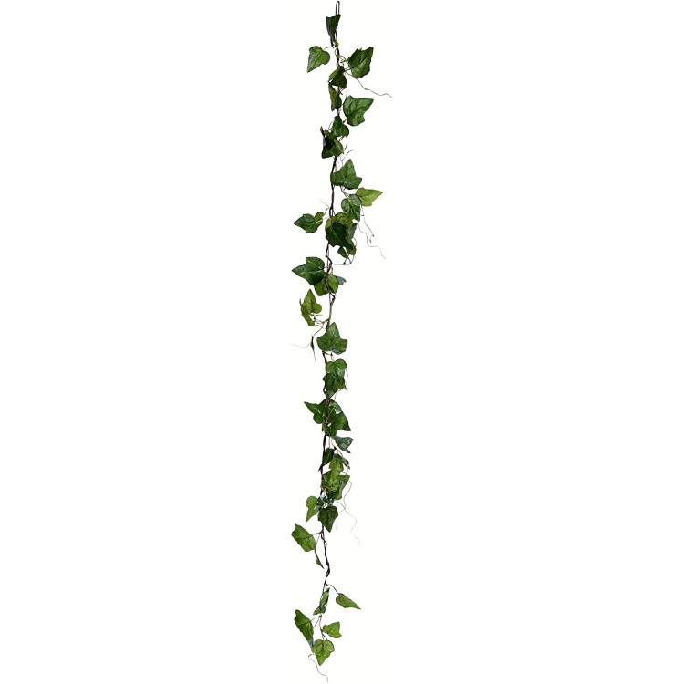 Vickerman Everyday 56 Artificial Green Ivy Garland Faux Floral Decor Home Or Office Greenery Accent Maintenance Free 2 Pack