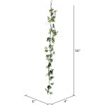 Vickerman Everyday 56 Artificial Green Variegated Ivy Garland Faux Floral Decor Home Or Office Greenery Accent Maintenance Free 2 Pack