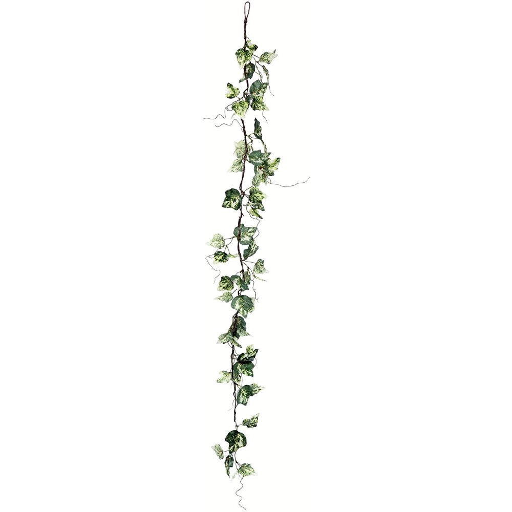 Vickerman Everyday 56 Artificial Green Variegated Ivy Garland Faux Floral Decor Home Or Office Greenery Accent Maintenance Free 2 Pack
