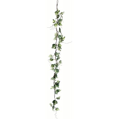 Vickerman Everyday 56" Artificial Green Variegated Ivy Garland Faux Floral Decor Home Or Office Greenery Accent Maintenance Free 2 Pack