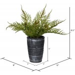 Vickerman Everyday 8.5 Artificial Green Asparagus Fern In A Ceramic Pot- Realistic Indoor Greenery Decor Faux Potted Decoration For Home Or Office Accent