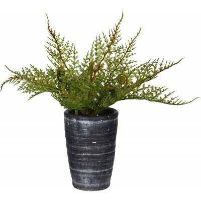 Vickerman Everyday 8.5" Artificial Green Asparagus Fern In A Ceramic Pot- Realistic Indoor Greenery Decor Faux Potted Decoration For Home Or Office Accent