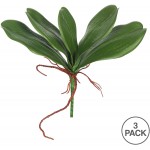 Vickerman Everyday 9 Real Touch Green Orchid Leaves 3 Pack Faux Indoor Plant Spray Greenery For Home Or Office Decor Maintenance Free
