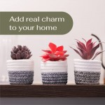 VIVERIE Artificial Succulents in Pots for Boho Decor Set of 3 Fake Plants with Removable Boho Basket for Office Home and Other Creative Space Decor in Purple and Red