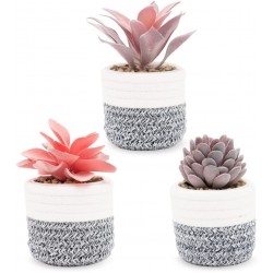 VIVERIE Artificial Succulents in Pots for Boho Decor Set of 3 Fake Plants with Removable Boho Basket for Office Home and Other Creative Space Decor in Purple and Red