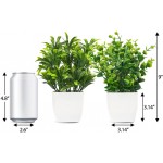 Whonline 2pcs Fake Small Plants Artificial Potted Plants Faux Mini Plants Indoor Plastic Eucalyptus Plants for Home Office Desk Bathroom Bedroom Greenery Decoration