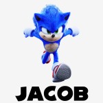 Custom Name Wall Decals Adventure Sonic Wall Art Boys Kids Room Bedroom Decor Mural Decal Gift Custom Hedgehog Game Wall Decor Removable Wall Stickers for Kids 30H x 22W inches