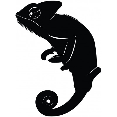 TheVinylGuru Chameleon Wall Decal Sticker 1 Decal Stickers and Mural for Kids Boys Girls Room and Bedroom. Reptile Wall Art for Home Decor and Decoration Ð Animal Silhouette Mural