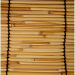 Radiance Cord Free Roll-up Reed Shade Natural 48 W x 72 L
