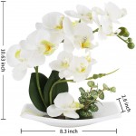 Artificial Orchids Faux Orchid White Orchid Arrangements for Kitchen Table Centerpiece Silk Fake Flowers for Decoration Home Decor Office Wedding Vivid