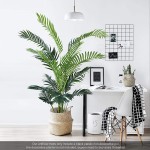 Aveyas 5ft Artificial Kentia Areca Palm Silk Tree in Plastic Nursery Pot Fake Tropical Plant for Office House Living Room Home Decor Indoor Outdoor