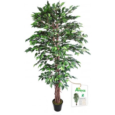 Aveyas 6ft Artificial Ficus Silk Tree 72in with Plastic Nursery Pot Fake Plant for Office House Farmhouse Living Room Home Decor Indoor Outdoor