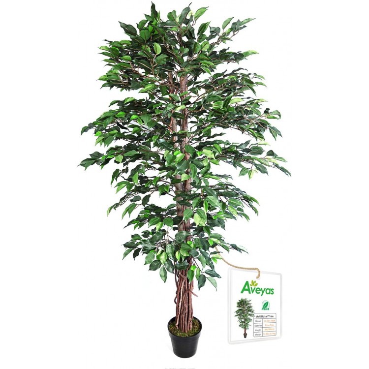 Aveyas 6ft Artificial Ficus Silk Tree 72in with Plastic Nursery Pot Fake Plant for Office House Farmhouse Living Room Home Decor Indoor Outdoor