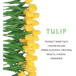BOMAROLAN Artificial Tulip Fake Holland Mini Tulip Real Touch Flowers 24 Pcs for Wedding Decor DIY Home Party Yellow