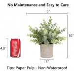 C APPOK Artificial Potted Plants Fake Eucalyptus Plant Mini Plastic Green Grass with Pot Faux Rosemary Plants for Home Decor Indoor Table Decoration 3 Pack Flocking Green