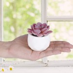 CEWOR Set of 6 Artificial Succulents Plants in Pots Small Fake Potted Plant Mini Faux Pink Succulent for Desk Office Living Room Shelf Bedroom Bathroom Home Decor White Ceramic Pots