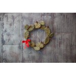 Desert Steel Prickly Pear Wreath Holiday Home Decor Accent 16 Wreath