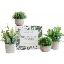 GreenCallow Artificial Plants for Home Decor Indoor. 4 Mini Plants Rosemary Faux Plant Decor Eucalyptus Plant Grass Faux Plants. Small Fake Plants for Shelf or Desk Plant Artificial Greenery Décor