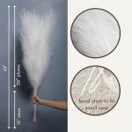 Large Faux Pampas Grass Set Of 4 Fluffy Pampas Grass Stems Boho Decor Decorative Tall Artificial Flowers for Home Living Room Kitchen Office Wedding Beige 43 Inch WHITE
