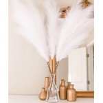Large Faux Pampas Grass Set Of 4 Fluffy Pampas Grass Stems Boho Decor Decorative Tall Artificial Flowers for Home Living Room Kitchen Office Wedding Beige 43 Inch WHITE