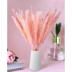 Omldggr 20 Pieces Natural Dried Pampas Grass Natural Dried Flowers Dried Reed Grass for Home Garden Office Party Wedding DecorPink