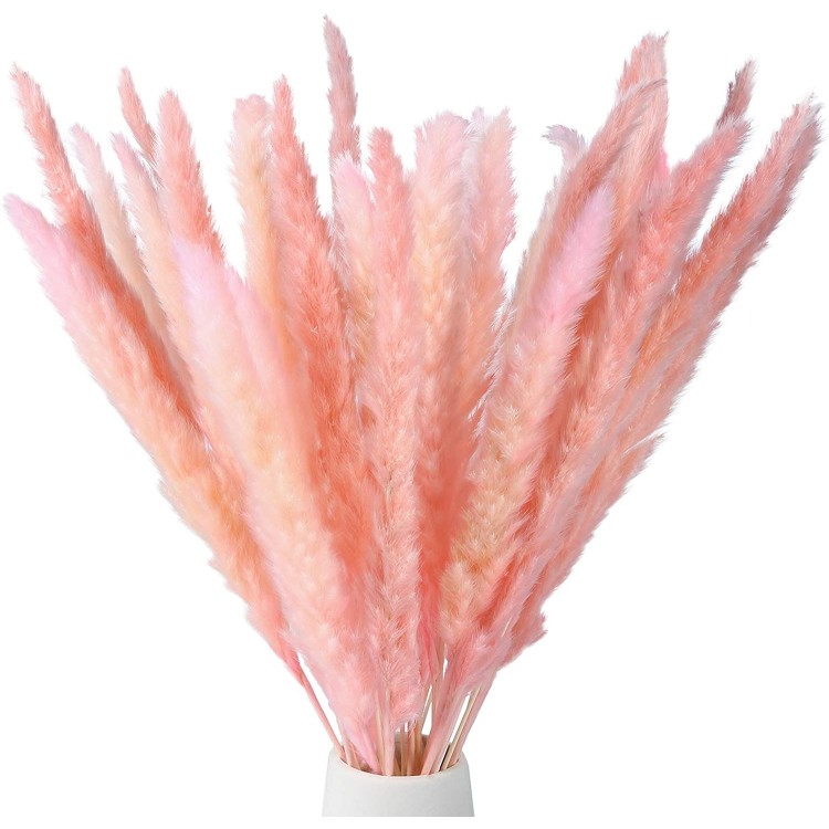 Omldggr 20 Pieces Natural Dried Pampas Grass Natural Dried Flowers Dried Reed Grass for Home Garden Office Party Wedding DecorPink