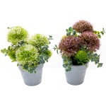 Pack of 2 Artificial Potted Plants 6.5 inch Greenery Faux Grass Topiary,Small Indoor Accent Farmhouse Home Decor for Office Desk Nightstand and Outdoor Garden Decorations