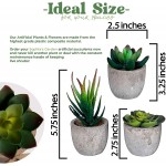 Small Artificial Succulents Plants Artificial Potted Fake Plant Decor Bedroom Aesthetic 6 Piece Faux Succulents in Pots 2.3 Fake Succulent Decor Fake Succulents Mini Succulents Desk Office Bulk