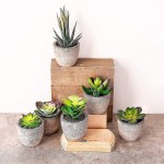Small Artificial Succulents Plants Artificial Potted Fake Plant Decor Bedroom Aesthetic 6 Piece Faux Succulents in Pots 2.3 Fake Succulent Decor Fake Succulents Mini Succulents Desk Office Bulk