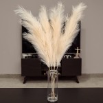 TULIPA CROWNLILY Artificial Faux Dried Pampas Grass Decor Total 4 Stems | Stems 43 in Beige Large Grass Summer-Brown Small Pampas Grass Plants for Home Decor Wedding and Events Arrangements