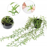 WXBOOM 1 Pack Artificial Hanging Plants Fake Potted Plants Faux Hanging Plant in Pot for Home Shelf Wall Decor Indoor Outdoor
