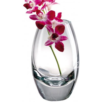 Badash Radiant Crystal Glass Vase 11" Tall European Mouth-Blown Lead-Free Crystal Vase in Clear Perfect Floral Vase & Home Decor Accent