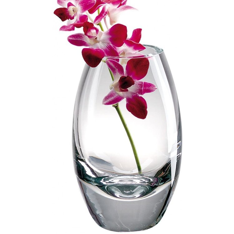 Badash Radiant Crystal Glass Vase 11 Tall European Mouth-Blown Lead-Free Crystal Vase in Clear Perfect Floral Vase & Home Decor Accent