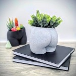 Butt Vase Booty Succulent Planter Pot with Drainage Cheeky Modern Decor for Home Unique Art Accents for Cactus Medium Marble