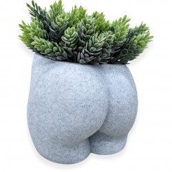 Butt Vase Booty Succulent Planter Pot with Drainage Cheeky Modern Decor for Home Unique Art Accents for Cactus Medium Marble