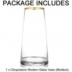 Modern Glass Vase Crystal Clear Flower Vase Glass Flower Arrangement Table Centerpieces for Home Office Modern Decor Dining Living Room Art Decor Accent Gift Crystal Clear 9.6 Inches Height