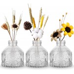 OppsArt Glass Bud Vases for Decor Set of 3 Small Clear Decorative Vases for Farmhouse Fireplace Modern Centerpiece Floral Decoration for Home Office Living Room Shelf Table Vintage Plant Gift